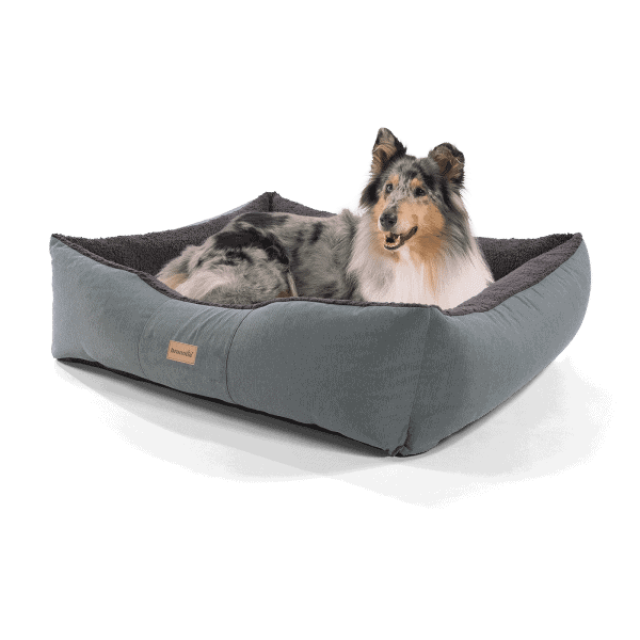Hundebett Emma von Brunolie