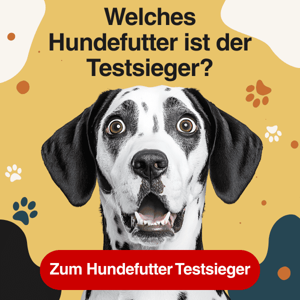 hundefutter testsieger