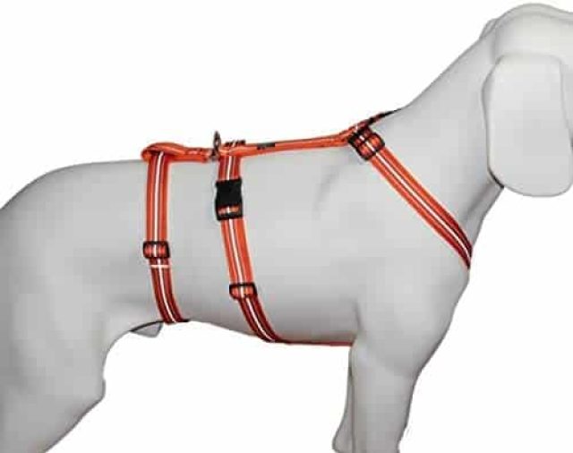 Hundegeschirr Ausbruchsicher