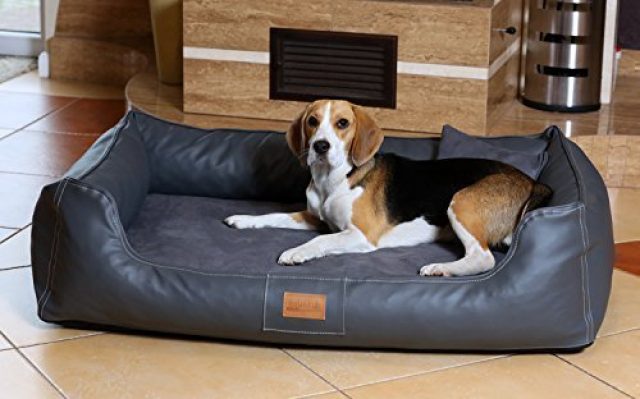 Hundebett Maddox Ortho Visco