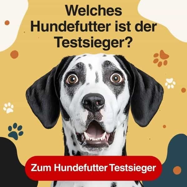 Testsieger Hundefutter
