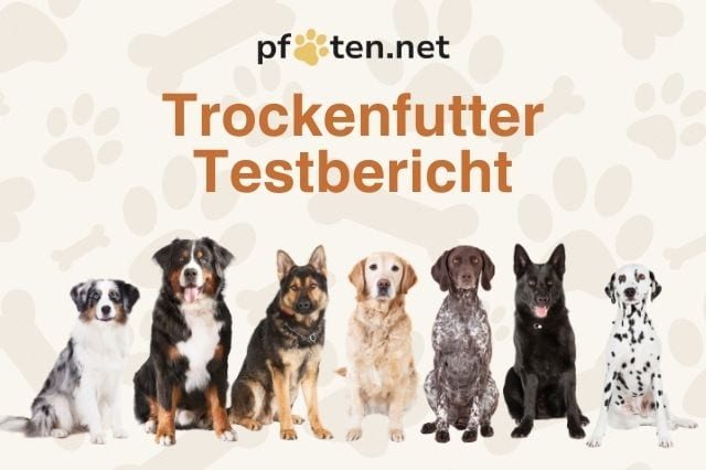 Trockenfutter Testbericht
