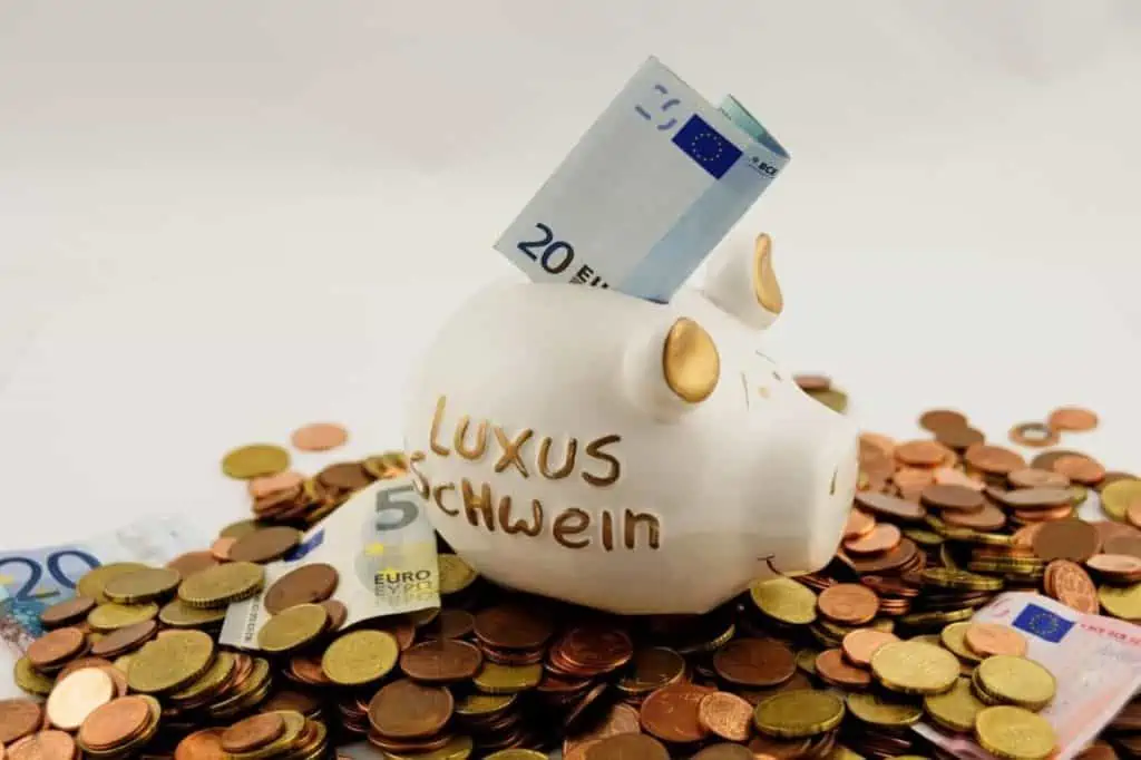 Hundebett Günstig oder teuer? Welches Hundebett ist das Richtige?