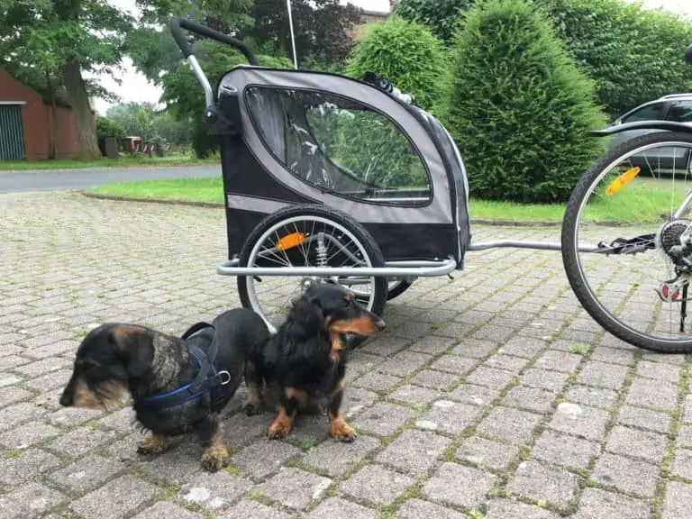 Fahrradanhänger für Hunde