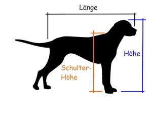Hundebett Größe berechnen