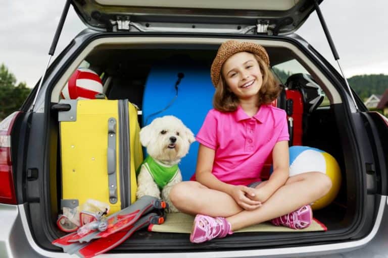 Hund im Auto Worauf Du unbedingt achten musst!