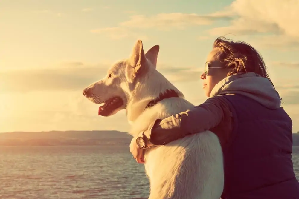 Frau sitzt mit Hund am Strand - Ruhe ist wichtig