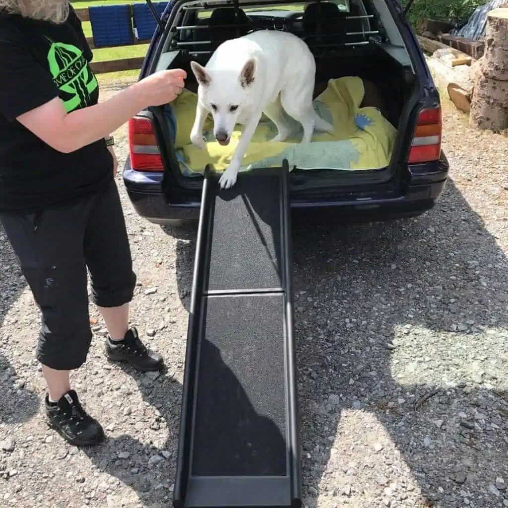 Hunderampe: Hilfe beim Ausstieg für Hunde