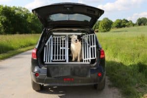 Hundetransportbox Alu im Kofferraum