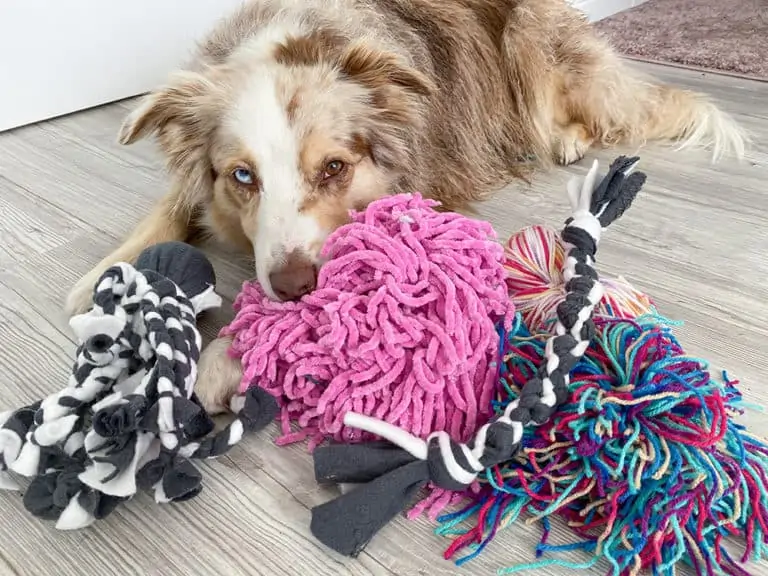 Spielzeuge für Hunde