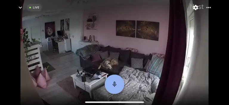 Google Nest Cam