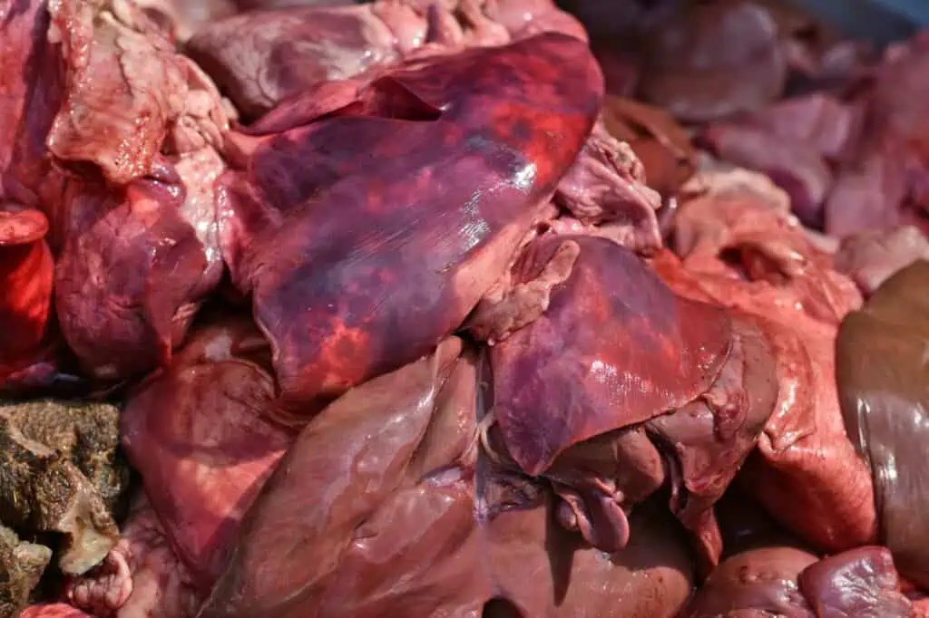 Tierische Nebenerzeugnisse im Hundefutter: Billige Schlachtabfälle?