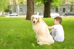 Junge mit Hund im Park