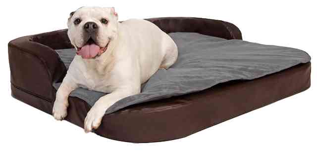 DoggyBed Medical Style Plus