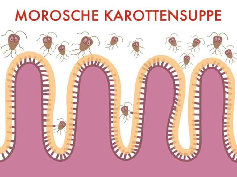 Wirkung der Morosche Möhrensuppe
