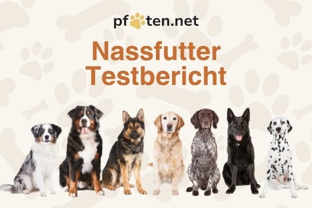 Nassfutter Testbericht