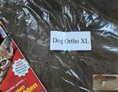schecker-dog-ortho-004