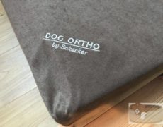schecker-dog-ortho-005