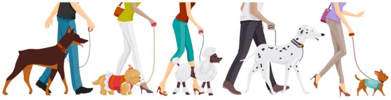 Social Walks