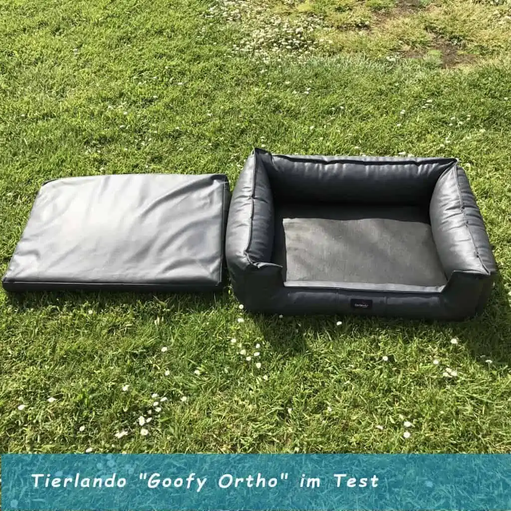 Tierlando Goofy Ortho Test