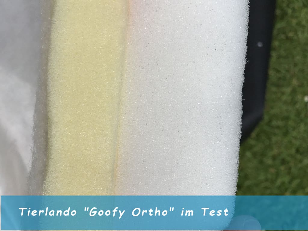 Orthopädischer Aufbau von Goofy