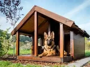 Schäferhund in einer Hundehütte mit Veranda